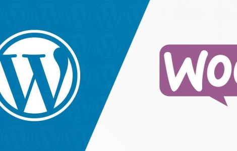 WordPress Shortcode erstellen