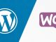 create wordpress plugin
